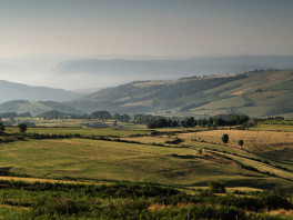 Boralde Lou Planet - Aubrac